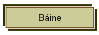 Bine