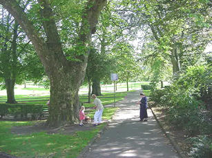 People's Park